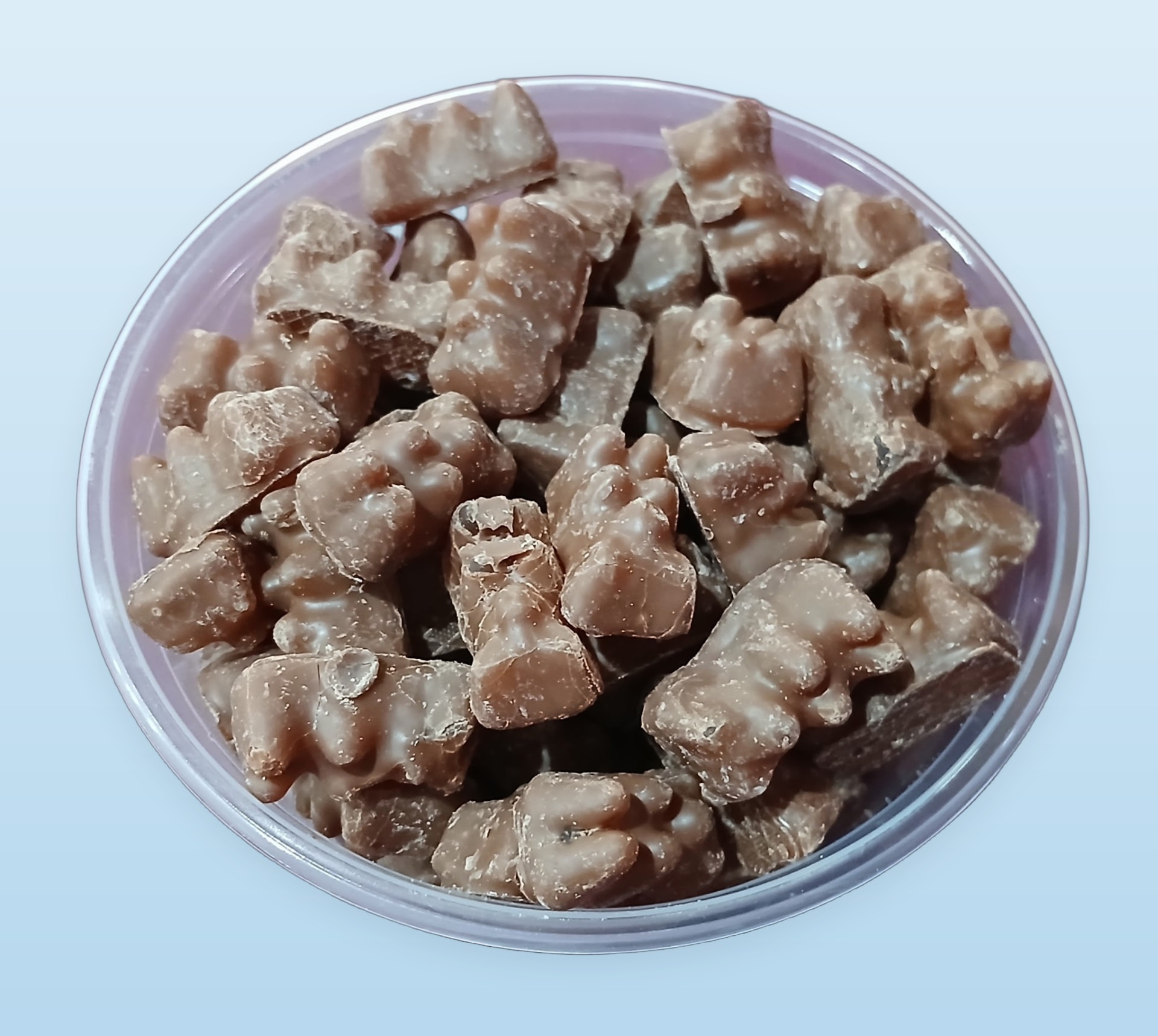 Chocolate Covered Gummi Bears